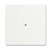 ABB BuschJaeger BuschflexTronics Dimmertoets 623010884 Verkeerswit mat