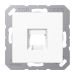 Jung AAS Range Centraalplaat RJ45 A156915WEWW