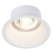 SLV HORN 1 Downlight 112911
