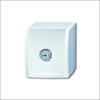 ABB BUSCH 20 EWSL10154 WCD RA OPB SLOT IP44 0ALPIN