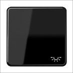 JUNG CD 590 L SW WIP CD500 ZW LICHTSYMB
