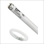 SYLVANIA 0000091 F18W T8 BLACKLIGHT 368 24INCH