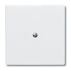 ABB BuschJaeger AllWeather IP44 Blindplaat 213834 Alpinwit