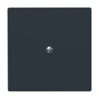 ABB BuschJaeger AllWeather IP44 Blindplaat 213835 Antraciet