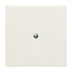 ABB BuschJaeger AllWeather IP44 Blindplaat 213832 Crème