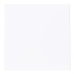 ABB BuschJaeger Art linear Blindplaat 174944G Verkeerswit glanzend