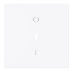 ABB BuschJaeger Art linear Bedieningswip 178844G Verkeerswit glanzend