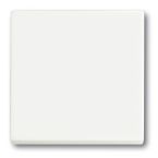 ABB BuschJaeger Future Linear Bedieningswip 1786884 Verkeerswit mat