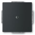 ABB BuschJaeger Future Linear Blindplaat 1742885 Zwart mat