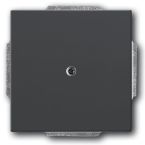 ABB BuschJaeger Future Linear Blindplaat 1749885 Zwart mat