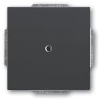 ABB BuschJaeger Future Linear Blindplaat 174281 Antraciet