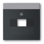 ABB BuschJaeger Future Linear Centraalplaat IAEUAE 1803885 Zwart mat