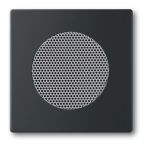 ABB BuschJaeger Future Linear Centraalplaat luidspreker 8253885 Zwart mat