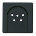 ABB BuschJaeger Future Linear Centraalplaat PTT 2767885503 Zwart mat