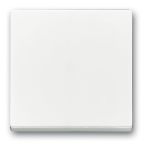 ABB BuschJaeger FutureSolo Bedieningswip 178684 Verkeerswit glanzend