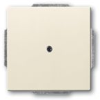 ABB BuschJaeger FutureSolo Blindplaat 174982 Crème