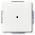 ABB BuschJaeger FutureSolo Blindplaat 174984 Verkeerswit glanzend