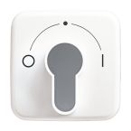 ABB BuschJaeger Reflex SI Centraalplaat sleutelschakelaar 2557 SLPZ2141 Alpinwit