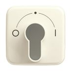 ABB BuschJaeger Standaard SI Centraalplaat sleutelschakelaar 2557 SLPZ2121 Crème