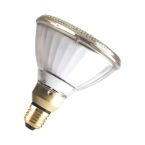 Bailey Incandescent MV Gloeilamp RP38E024120SP