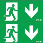 Eaton Blessing NexiTech Pictogram met perspexplaat NEXIPLEXDD