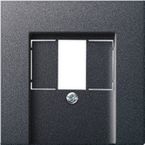 Gira Systeem 55 Centraalplaat audioworld 027628 Antraciet