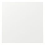 Gira F100 Bedieningswip 329670 Alpinwit