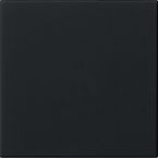 Gira Systeem 3000 Bedieningstoets 5360005 Zwart mat