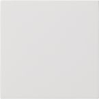 Gira Systeem 3000 Bedieningstoets 5360112 Alpinwit