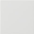 Gira Systeem 3000 Bedieningstoets 536027 Alpinwit mat