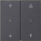 Gira Systeem 3000 Bedieningstoets 536728 Antraciet