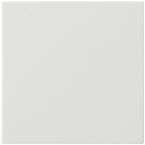 Gira Systeem 3000 Bedieningstoets 536003 Alpinwit glanzend