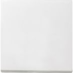 Gira Systeem 55 Bedieningswip 029627 Alpinwit mat