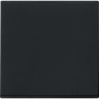 OUTLET Gira Systeem 55 Bedieningswip 0296005 Zwart mat