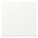 Gira Systeem 55 Bedieningswip 329627 Alpinwit mat