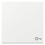 Gira Systeem 55 Bedieningswip 328703 Alpinwit glanzend