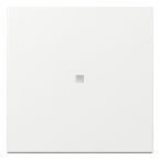 Gira Systeem 55 Bedieningswip 329003 Alpinwit glanzend