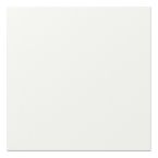 Gira Systeem 55 Rechtstaande bedieningswip 349627 Alpinwit mat