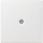Gira Systeem 55 Blindplaat 027403 Alpinwit glanzend
