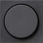 Gira Systeem 55 Dimmerknop 065028 Antraciet