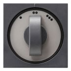 Gira Systeem 55 Draaiknop 066528 Antraciet