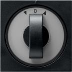 Gira Systeem 55 Draaiknop 0666005 Zwart mat