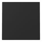 Gira Systeem 55 Bedieningswip 3296005 Zwart mat