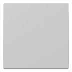 Gira Systeem 55 Bedieningswip 3296015 Grijs mat