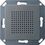 Gira Systeem 55 Radio 2282600 Edelstaal