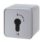 Hager Berker Gegoten Sleutelschakelaar 4466 Edelstaal