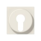 Jung AAS Range Centraalplaat sleutelschakelaar A528PL Crème