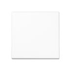 Jung A Range Bedieningstoets A1700WW Alpinwit