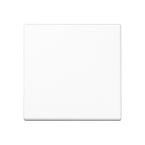 Jung A Range Bedieningswip A590WW Alpinwit