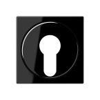 Jung A Range Centraalplaat sleutelschakelaar A528PLSW Zwart